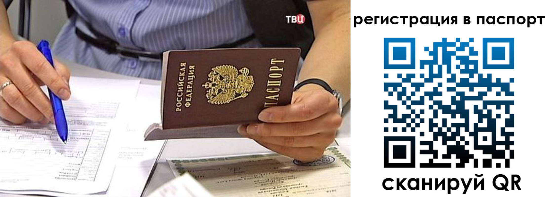 миграционный учет в Белгородской области