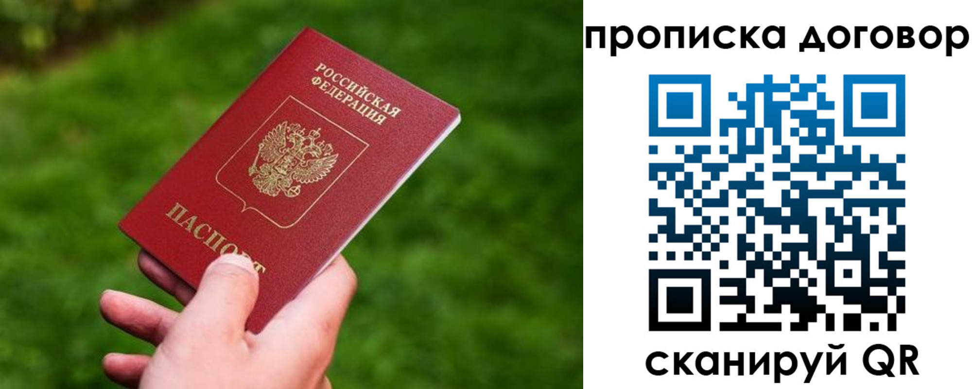 прописка гарантия в Белгородской области